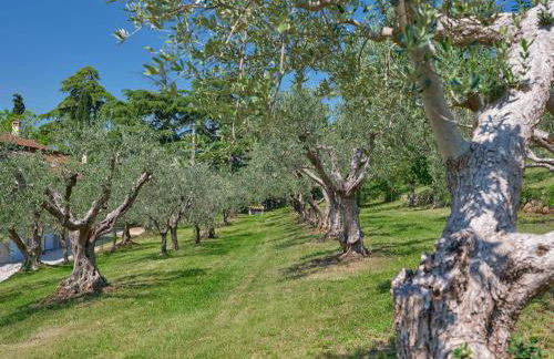 Cason degli ulivi-APT Mia - Photo 15