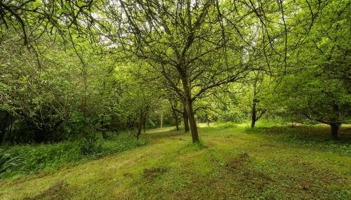 Gite Petite Chaumière-La Corne d'Or - Foto 3