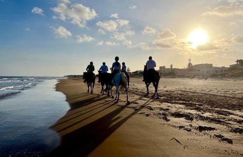 Frontemare - Foto 17