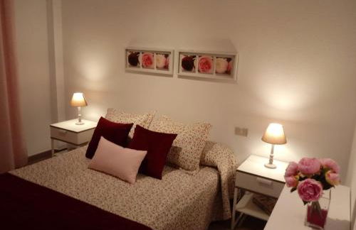 APARTAMENTO BEDIESTA - Foto 22