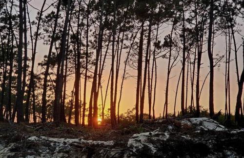Nazare Uninterrupted Views and Sounds of the Sea - Foto 52