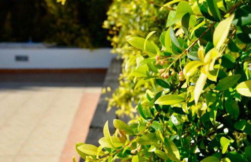 Villa ELTAEL - Daniel Apartment - Warm Pool from April 2026 - Foto 25