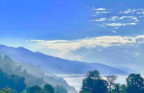 5 acres pool/spa, walk to all Big Sur has to offer - Foto 48