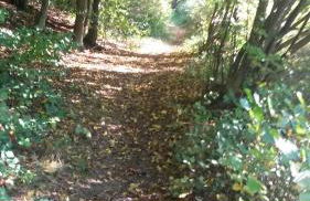 Ferienwohnung am Zeitenweg - Foto 10