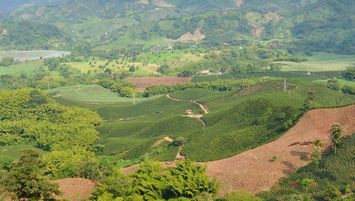 Colombian Coffee Region Private Paragliding Activity
