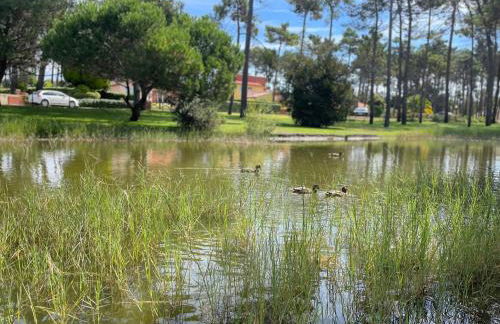 À Beira Lago - Casa de férias - Foto 36
