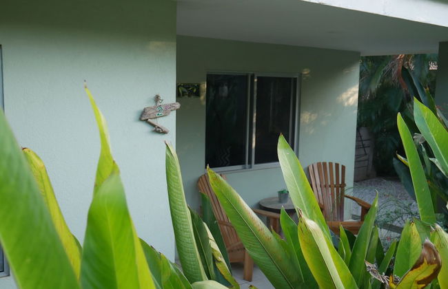 Cote Pacific Casitas - Photo 18