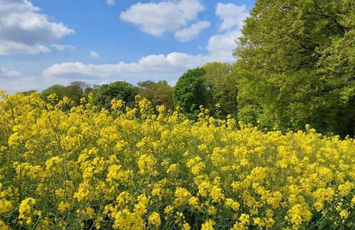 Gartenglück, entspannt wohnen am Obstwanderweg - Foto 37