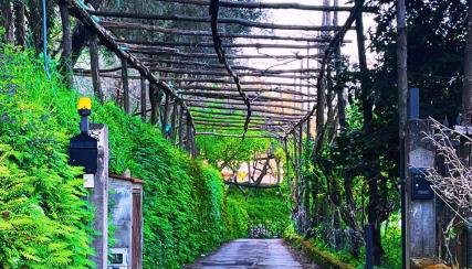 Agriturismo Nonno Antonino - Foto 2