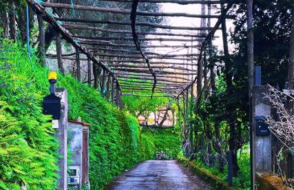 Agriturismo Nonno Antonino - Foto 2