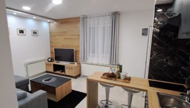 Apartman Pariz - Foto 1