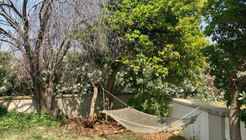 Casa della Maremma - Foto 4