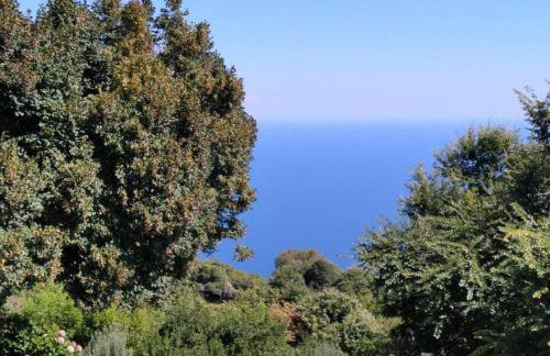 Μπαλκόνι του Αιγαίου/ Aegean balcony - Foto 21