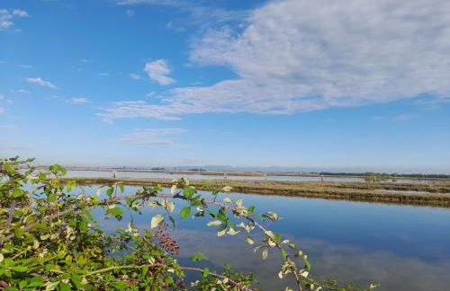 Ca' Savio terramare - Foto 32