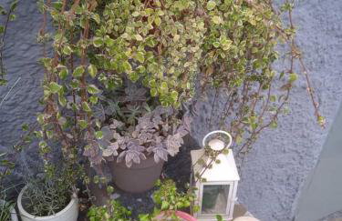 Bee Hive's Country House - Foto 27