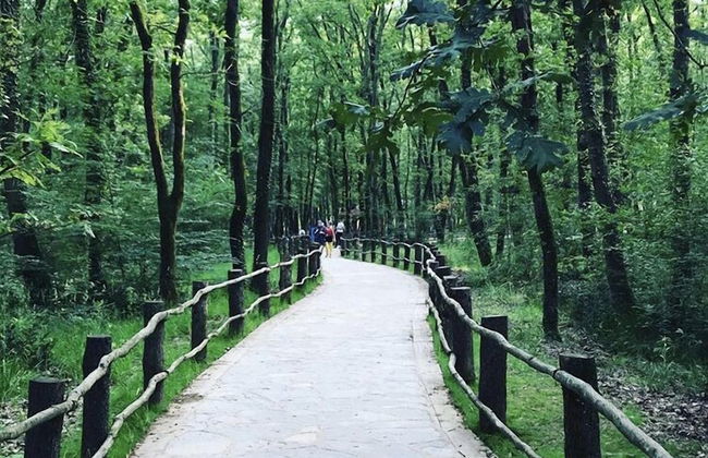 Arteria Family Residence & Suit Hotel - Foto 6