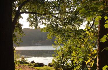 Ferienwohnung Seeblick Ratzeburg - Foto 38