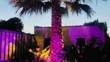 A casa di nonno Pippo - Foto 5, Garden