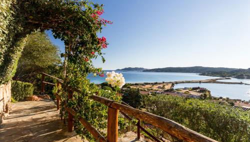 The houses of rising sun with a stunning sea view - Photo 3, Garden