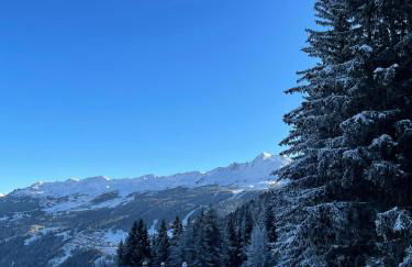 Appartement - La Plagne - Les Coches - 7 Personnes - Pieds des pistes - Foto 53