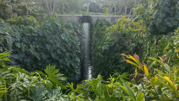 Discover the history of this hacienda