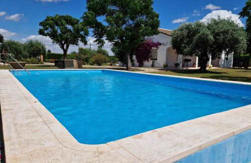 Casa en el campo cerca de sevilla - Foto 9