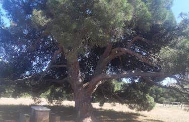 Apartamento Naturaleza Virgen - Photo 66