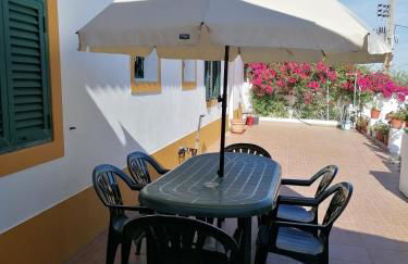 A casa da Carolina II - Foto 28