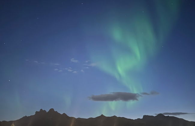 Rorbuene Svolvær Havn - Foto 30