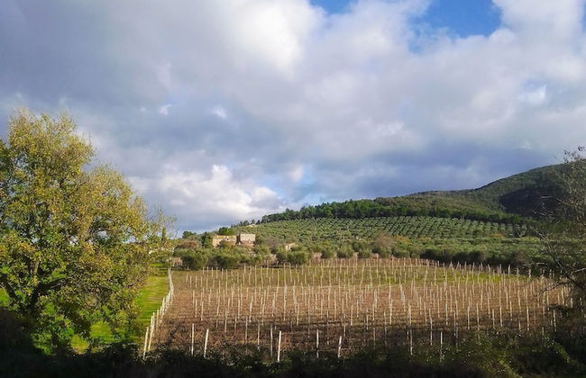 Borgo Cenaioli - Photo 42