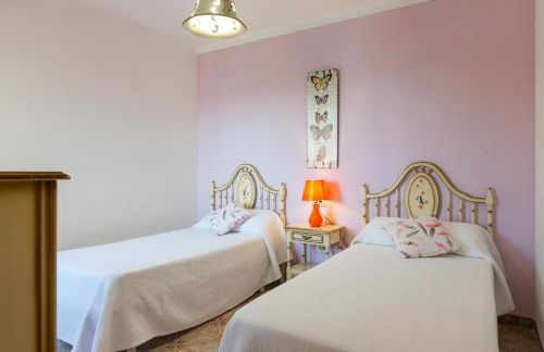 Far alcanada - Foto 11