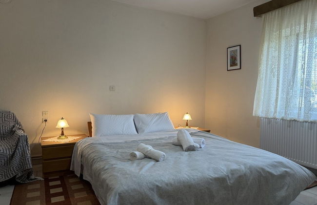 Garden Paradise in Megalochori Trikala - Foto 1