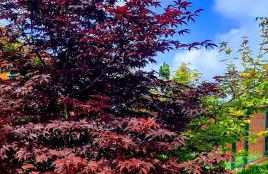 Apartamentos Rurales "La Escapada" - Foto 10