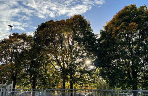 Traditional apt close to city centre & Hampden - Foto 8