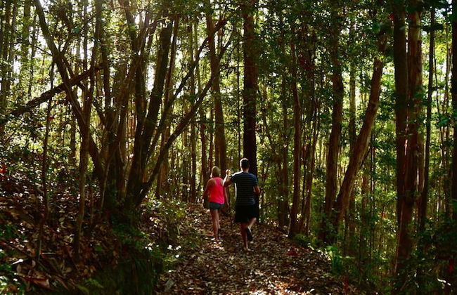 La Rocher Eco Retreat - Foto 62