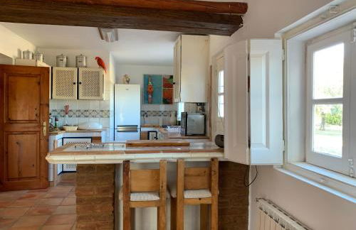 Quinta do Céu Tranquilidade e Piscina no Alentejo - Foto 12