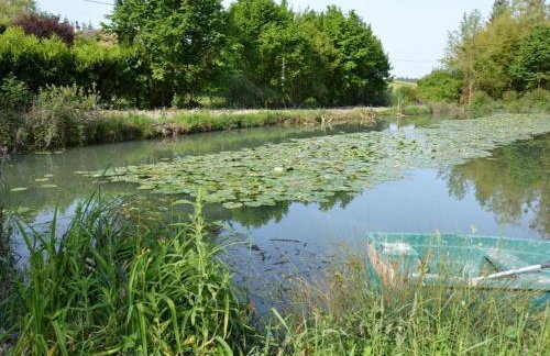 Maison de caractère 1840 en Touraine avec grand jardin, pêche, à proximité de Loches et châteaux. - FR-1-381-558 - Foto 7