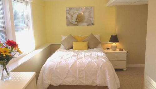 The Lily Pad at Loon Lake near Gore Mountain - Foto 5