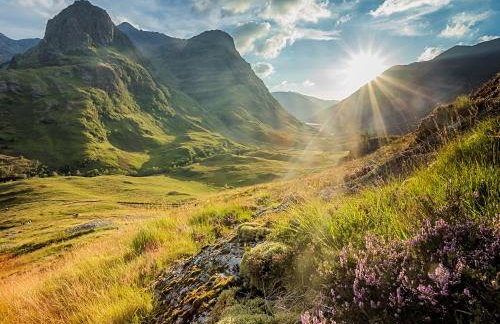 The Old Store - Foto 5