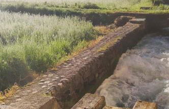 Agriturismo Helianthus - Foto 53