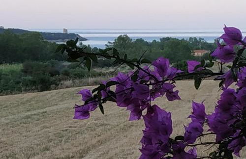 Vacanza in Ogliastra - Foto 24