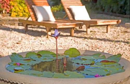 Fern Grotto Inn - Foto 68