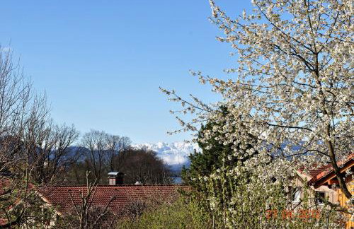 Ferienwohnung Fischer - Foto 13