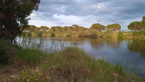 Galtellì casa vacanze - Foto 4