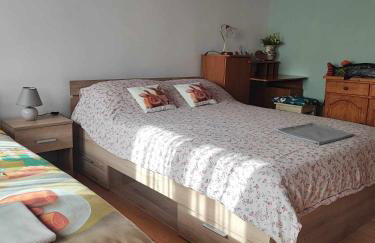 Apartman 1 RIBIČ - Foto 1