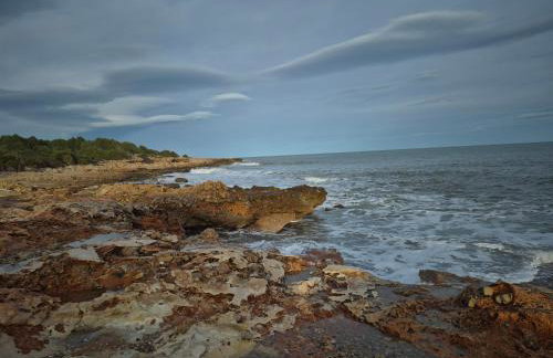 Montemar - Photo 27