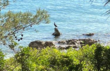 Čiovo Bay Apartment - Foto 21