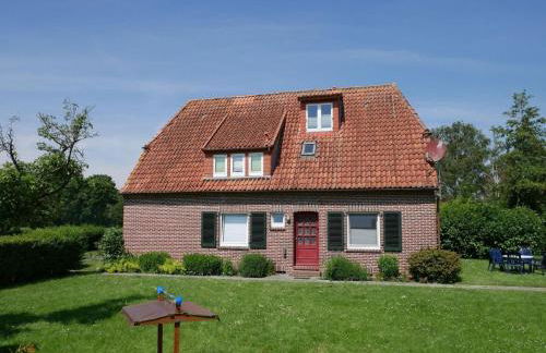 Apart Lachmöwe - Foto 1