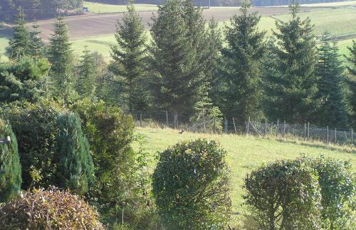 Eifelferienkurth - Photo 52