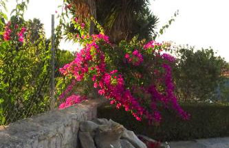 Vasiliki Residence - Foto 33